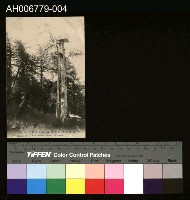 藏品(日治嘉義阿里山風信臺明信片)的圖片